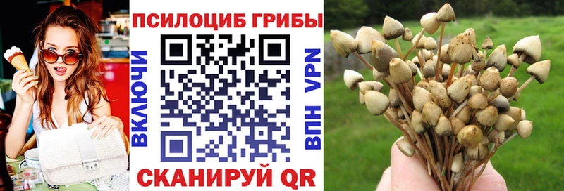 где купить наркоту  Алагир  Псилоцибиновые грибы прущие грибы 